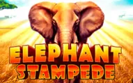 Elephant Stampede